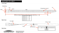 Anatomy of a Belt